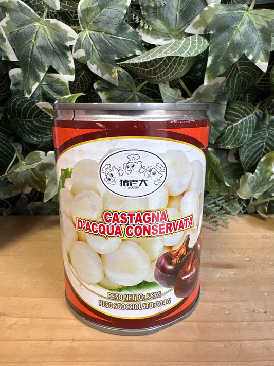 Castagne d’acqua (304g)