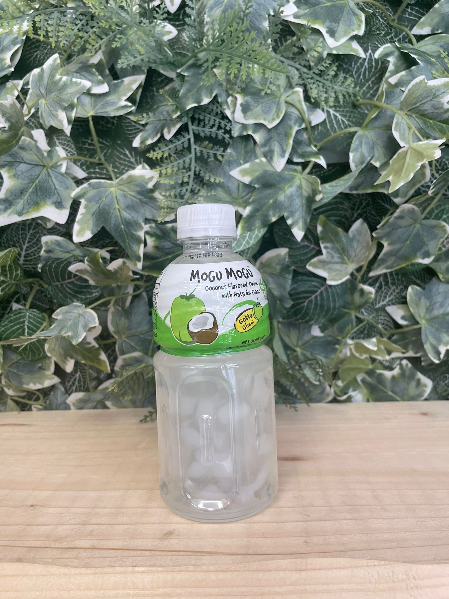 Mogumogu al cocco (320ml)