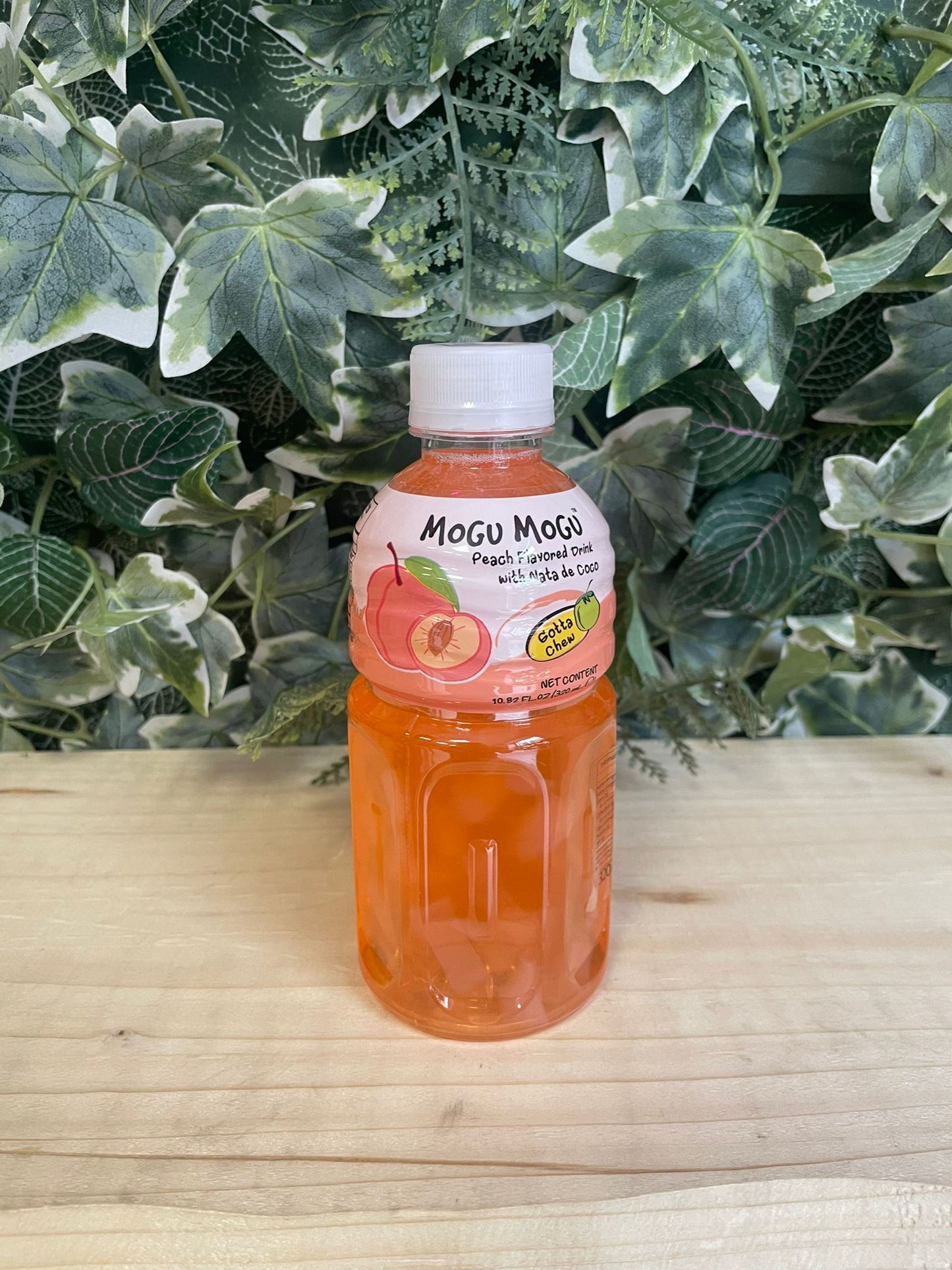 Mogumogu alla pesca (320ml)